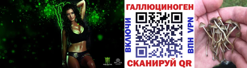 Псилоцибиновые грибы мицелий купить наркоту Касимов